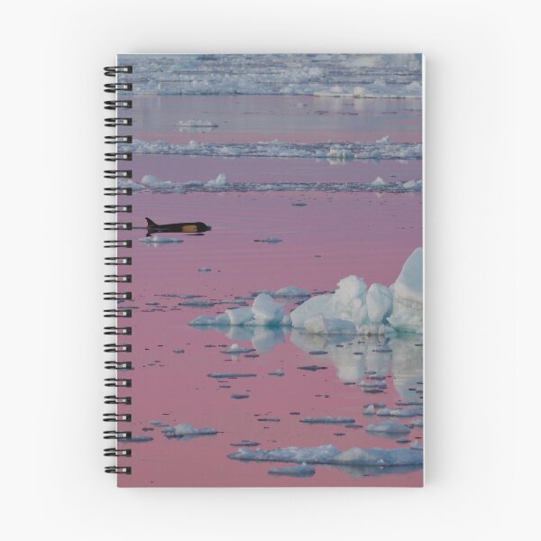 Item preview, Orca Sunset designed and sold by AntarcticShop.