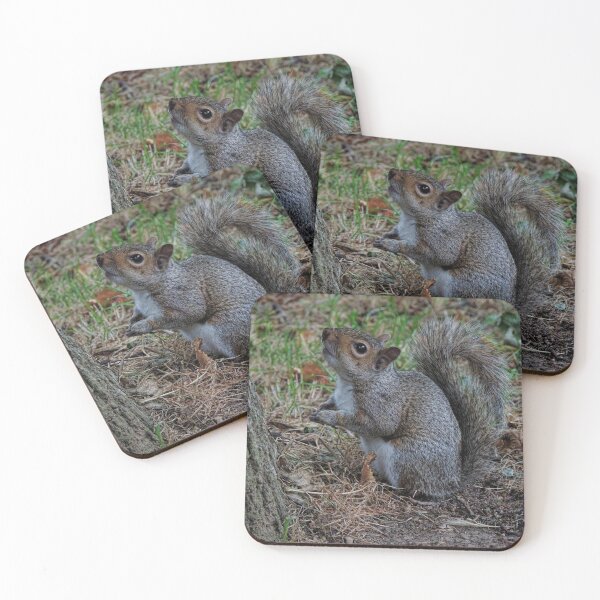 Item preview, Eastern Gray Squirrel (Sciurus carolinensis) designed and sold by Marilyn Harris.