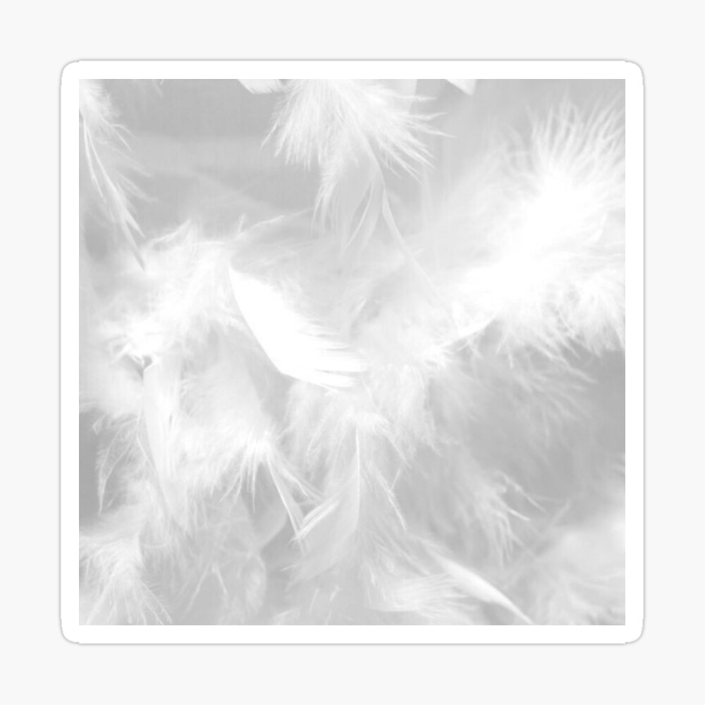 Sticker White feathers