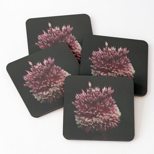 Item preview, Chive Flower  designed and sold by Kohobee.