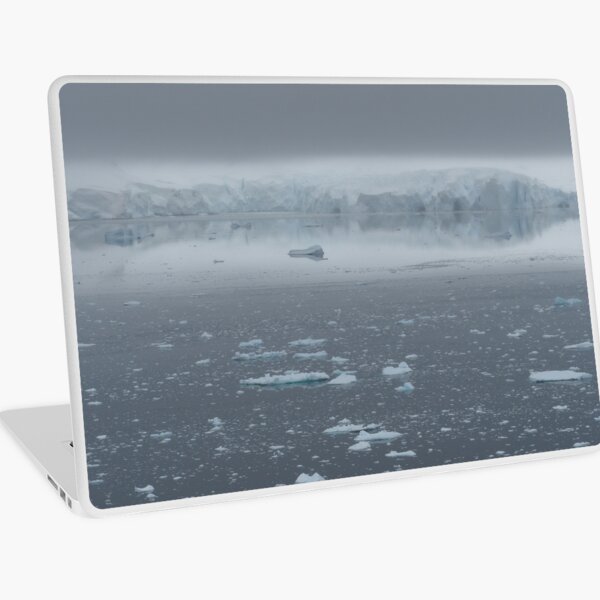 Peaceful Ice Laptop Skin