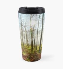 Beauty of winter forest with moss, sunny day, nature concept Travel Mug