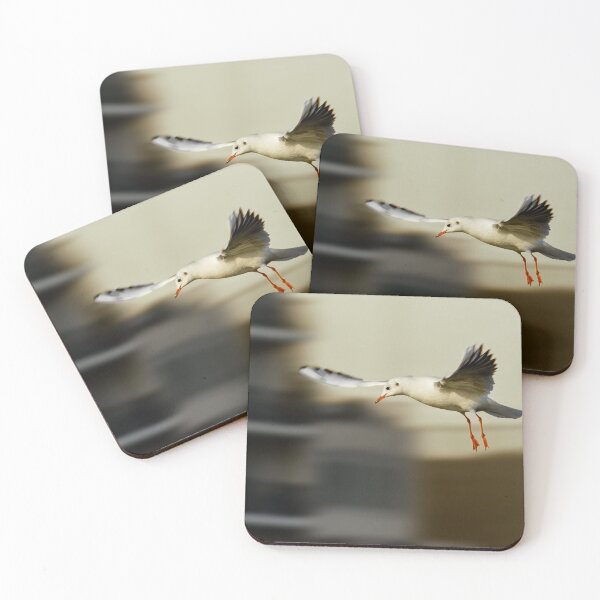 Item preview, A gull coming to land designed and sold by MikeCaffrey.