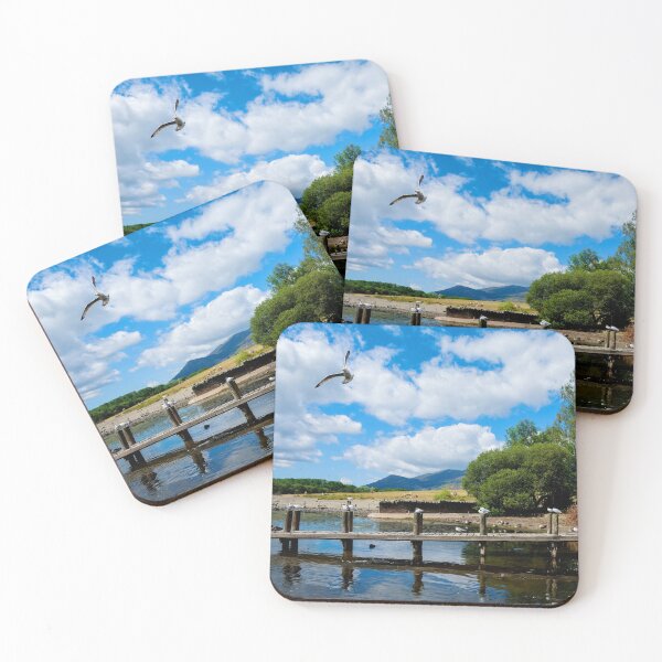 Item preview, Seagulls pose on Derwentwater designed and sold by Frank  Irwin.