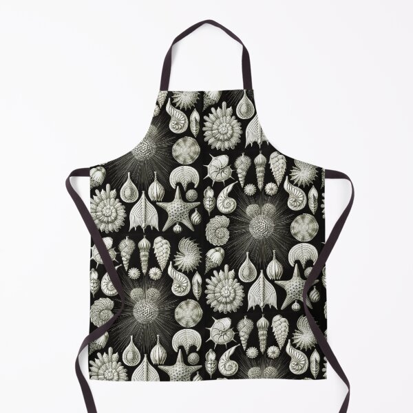 Item preview, Vintage Illustration - Thalamphora - Ernst Haeckel, Beach Theme Nature designed and sold by NewNomads.