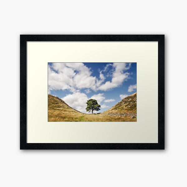 Sycamore Gap, Hadrian's Wall Framed Art Print