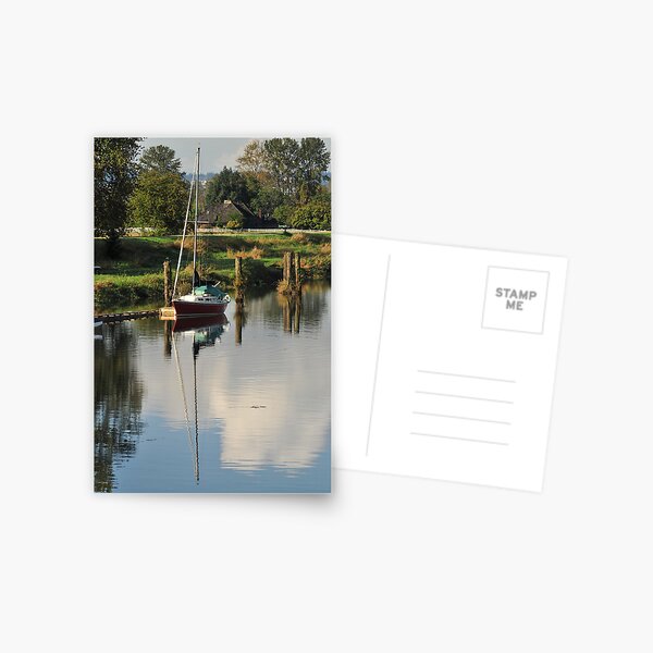 Peaceful River Postcard