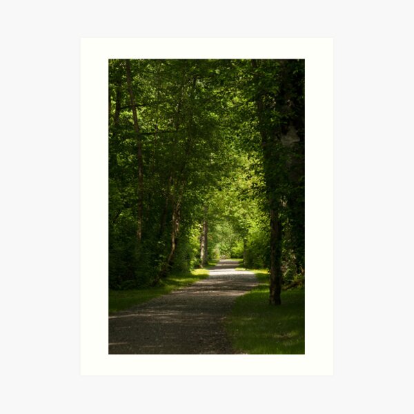 Follow your Path in Life Art Print