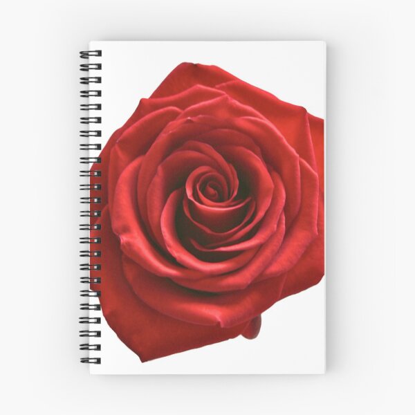 Item preview, Red Rose designed and sold by YeabH21.