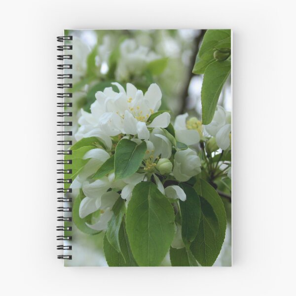 Item preview, Spring Blossoms designed and sold by Jen-Perry.