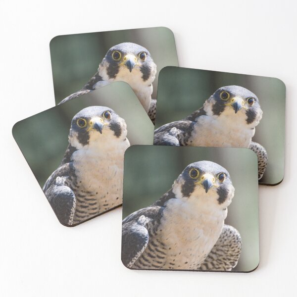 Item preview, Peregrine falcon  designed and sold by sjfreeman88.