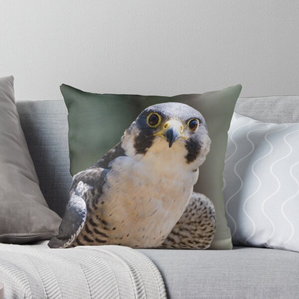 Item preview, Peregrine falcon  designed and sold by sjfreeman88.