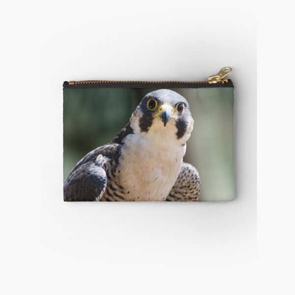 Item preview, Peregrine falcon  designed and sold by sjfreeman88.