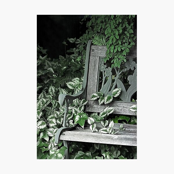 I Cling to the Memories Photographic Print