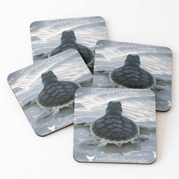 Item preview, Moonlight Hatchling by Kevin Smith designed and sold by RockpoolBroome.