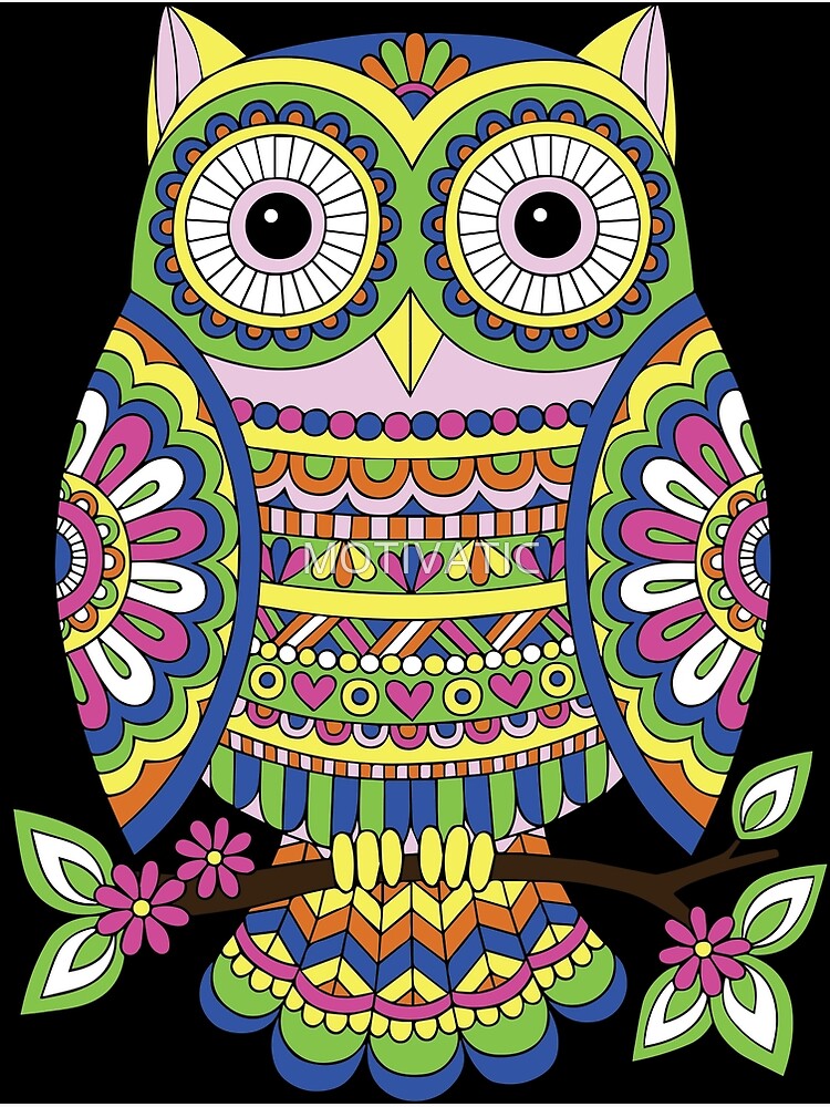 Owl doodle store art