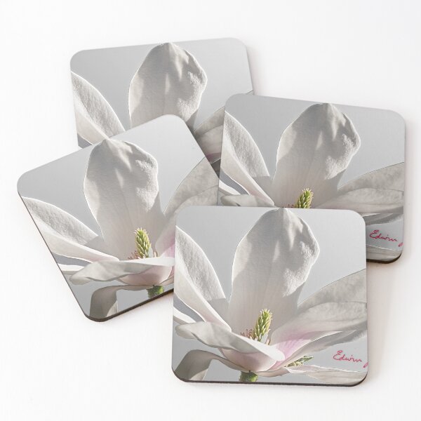 Item preview, White Magnolia by John Edwin Skelton designed and sold by EdwinJohn.