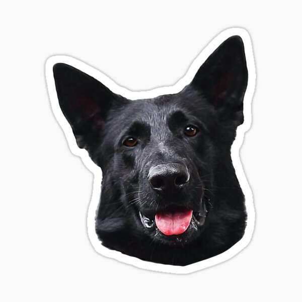 Black German Shepherd Dog - Stunning! Sticker