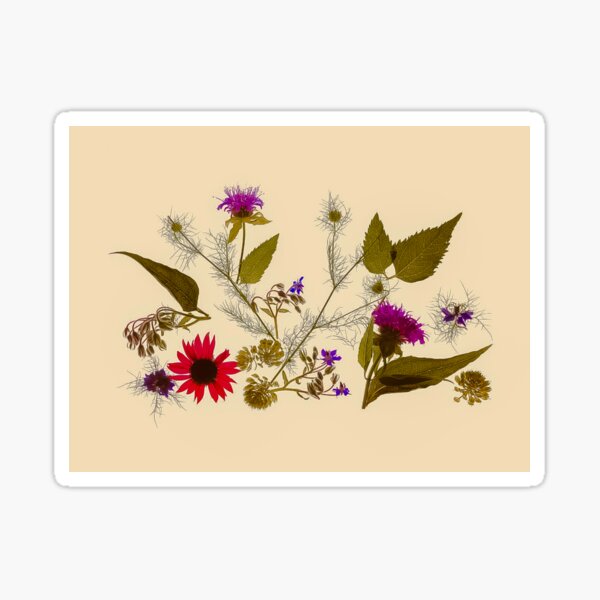 Olivia - vintage inspired botanical flower photograph Sticker