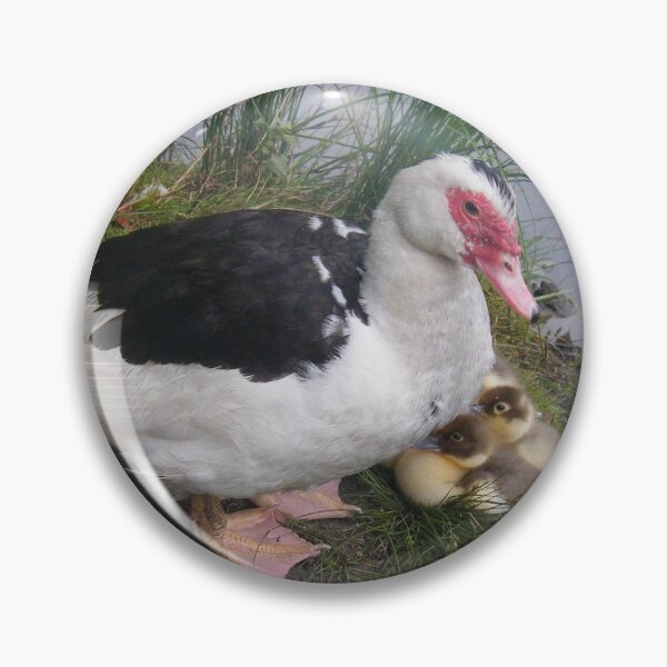 Item preview, Muscovy Mother and Ducklings designed and sold by imphavok.