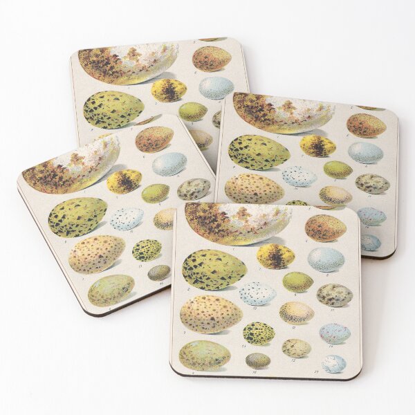 Item preview, Vintage french biology illustration - Quillet - Oeufs d'oiseaux designed and sold by Gardenlibrary.