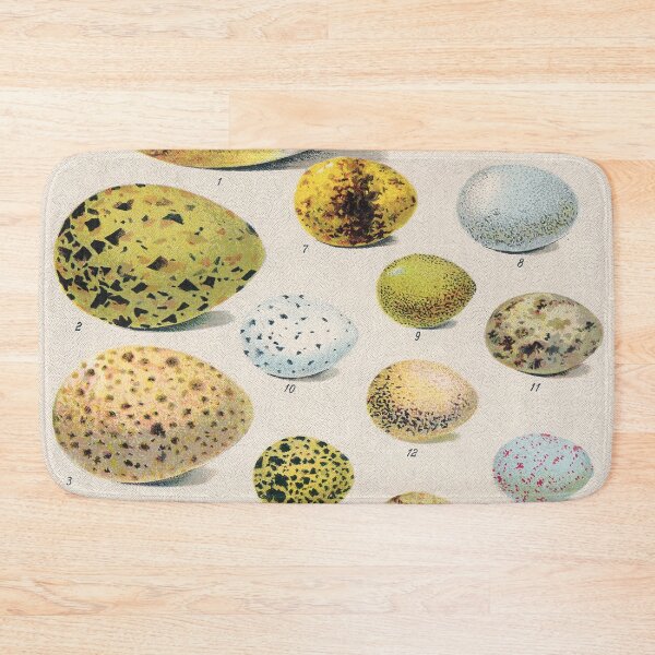 Item preview, Vintage french biology illustration - Quillet - Oeufs d'oiseaux designed and sold by Gardenlibrary.