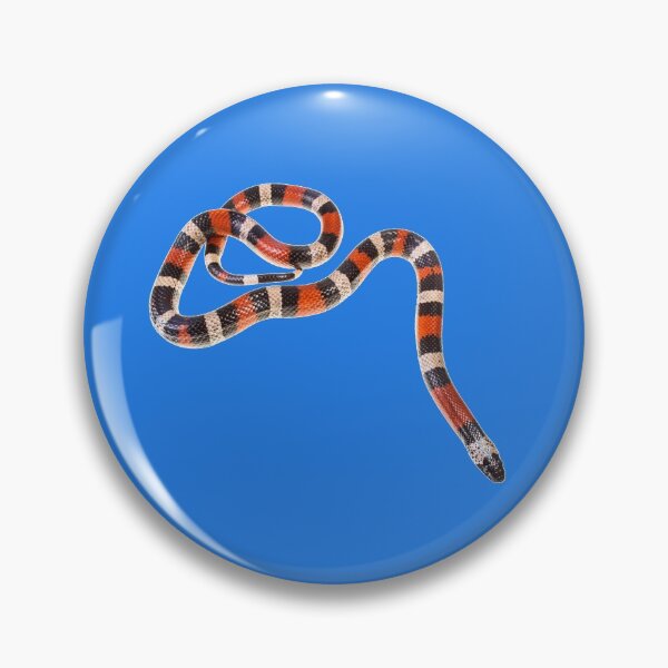 Artikelvorschau, Pueblan Milchschlange Lampropeltis triangulum campbelli entworfen und verkauft von Emanuele Biggi.