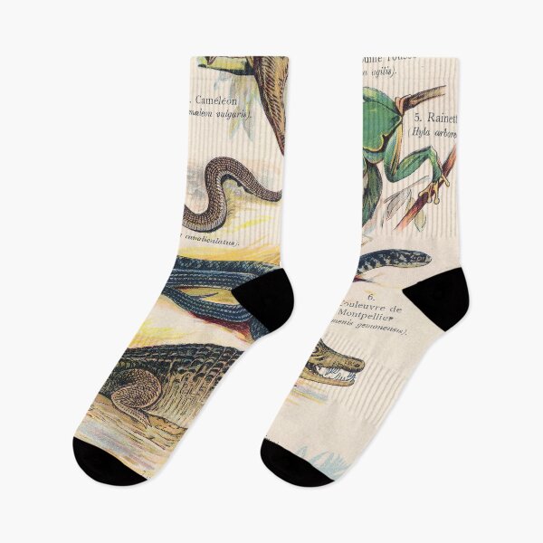 Item preview, Vintage french biology illustration - Quillet - Reptiles designed and sold by Gardenlibrary.