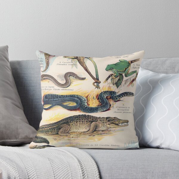 Item preview, Vintage french biology illustration - Quillet - Reptiles designed and sold by Gardenlibrary.