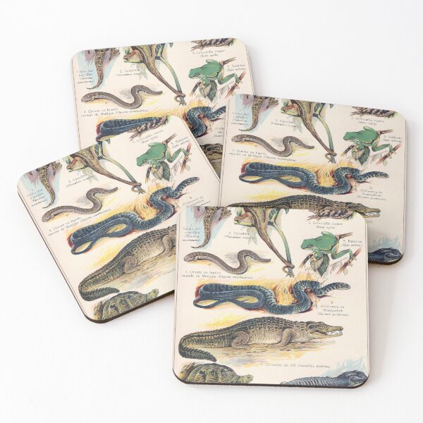 Item preview, Vintage french biology illustration - Quillet - Reptiles designed and sold by Gardenlibrary.