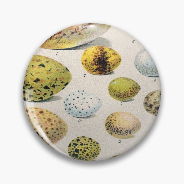 Item preview, Vintage french biology illustration - Quillet - Oeufs d'oiseaux designed and sold by Gardenlibrary.