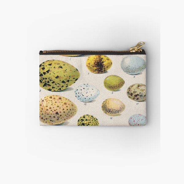 Item preview, Vintage french biology illustration - Quillet - Oeufs d'oiseaux designed and sold by Gardenlibrary.