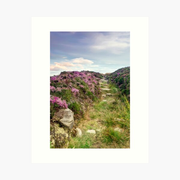 Item preview, Heather on Simonside Hills designed and sold by Chris Frost Photography.