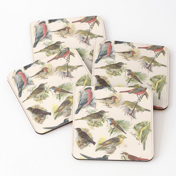 Item preview, Vintage french biology illustration - Quillet - Oiseaux chanteurs designed and sold by Gardenlibrary.