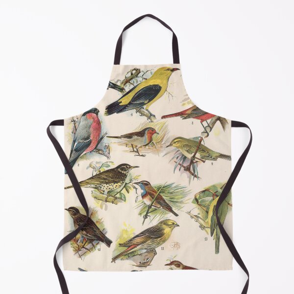 Item preview, Vintage french biology illustration - Quillet - Oiseaux chanteurs designed and sold by Gardenlibrary.