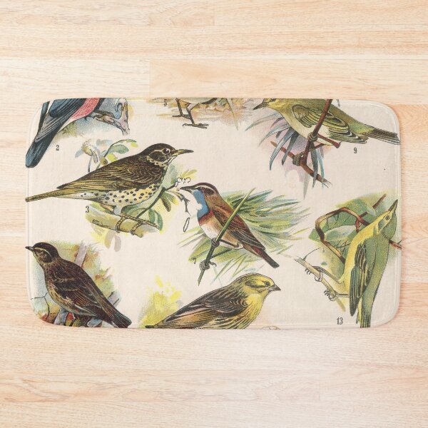 Item preview, Vintage french biology illustration - Quillet - Oiseaux chanteurs designed and sold by Gardenlibrary.