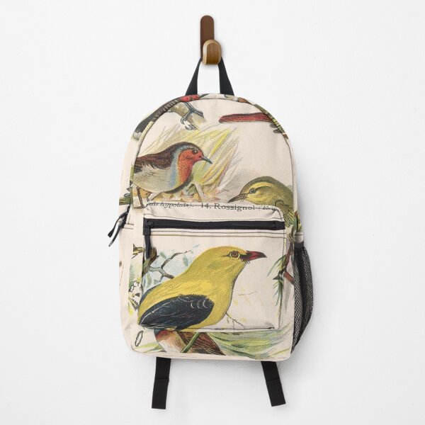 Item preview, Vintage french biology illustration - Quillet - Oiseaux chanteurs designed and sold by Gardenlibrary.