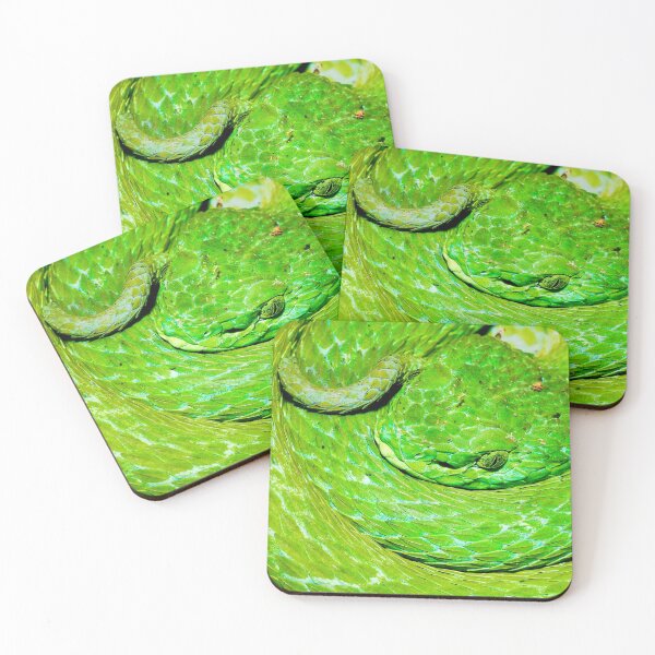 Item preview, Emerald Palm Viper designed and sold by ReptileAmphibia.