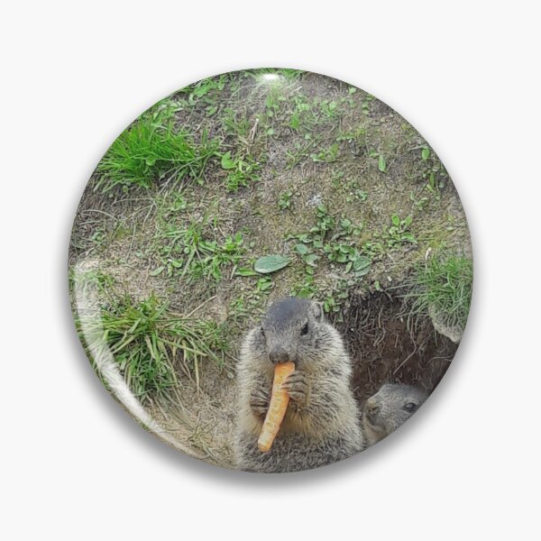Item preview, Marmots eating in the mountains. designed and sold by Nt67.