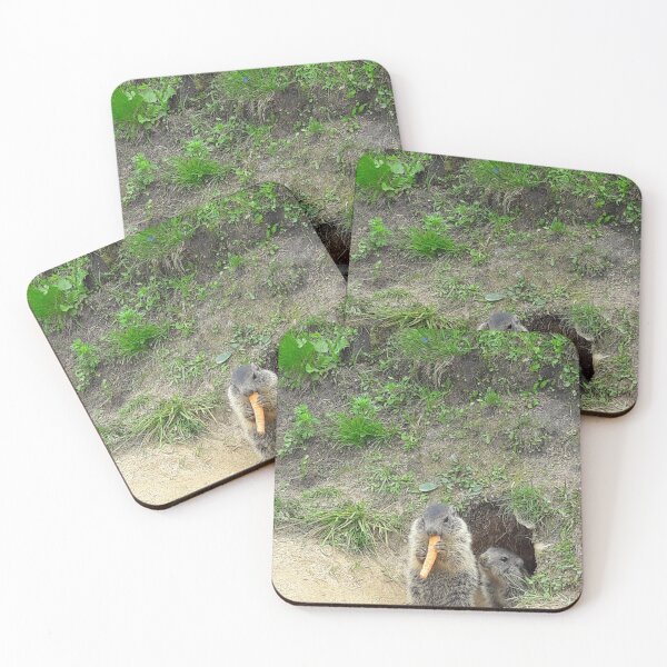 Item preview, Marmots eating in the mountains. designed and sold by Nt67.