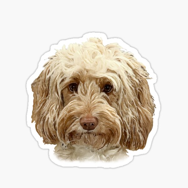 Item preview, Apricot Cockapoo Dog  designed and sold by Happy Dog Doodles.