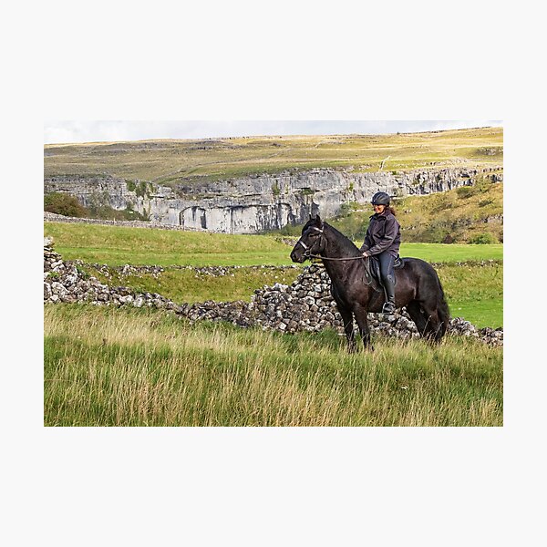 dales pony Photographic Print