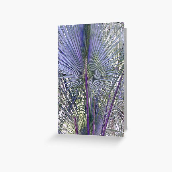 Hontoon Palm Greeting Card