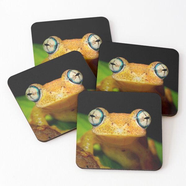 Item preview, Madagascar bright eyed frog designed and sold by ReptileAmphibia.