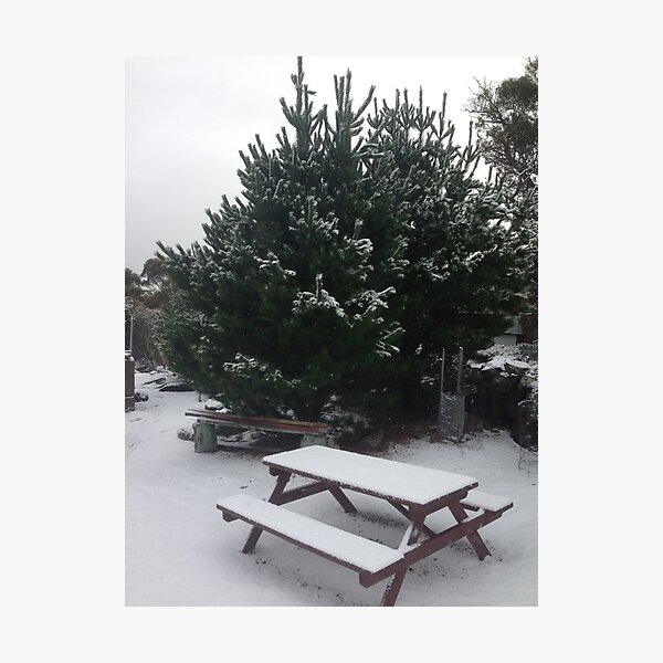Winter Wonderland Photographic Print