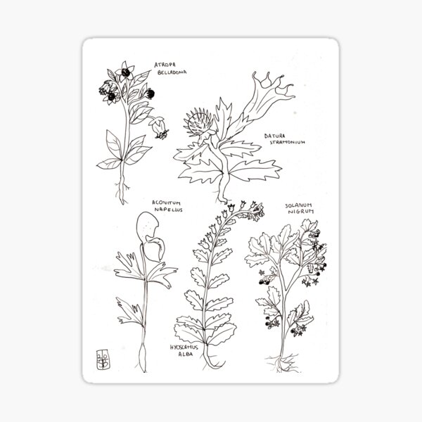 poison plants Sticker