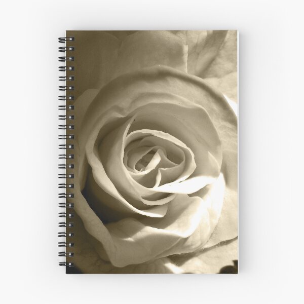Item preview, Rosa blanca designed and sold by studenna.