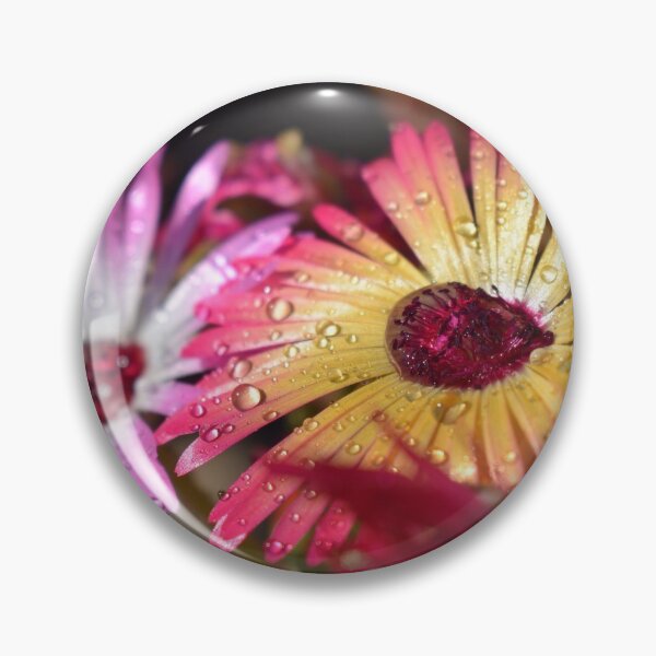 Item preview, Raindrop livingstone daisy designed and sold by Duane Evans.