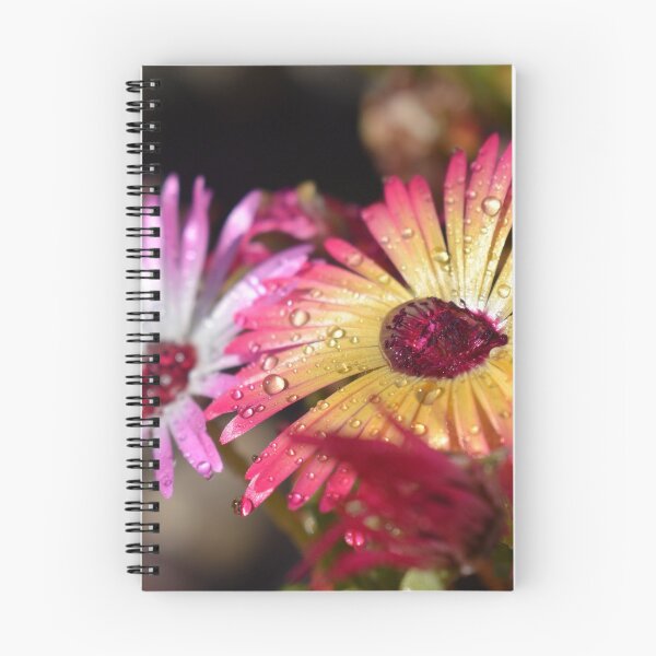 Item preview, Raindrop livingstone daisy designed and sold by Duane Evans.