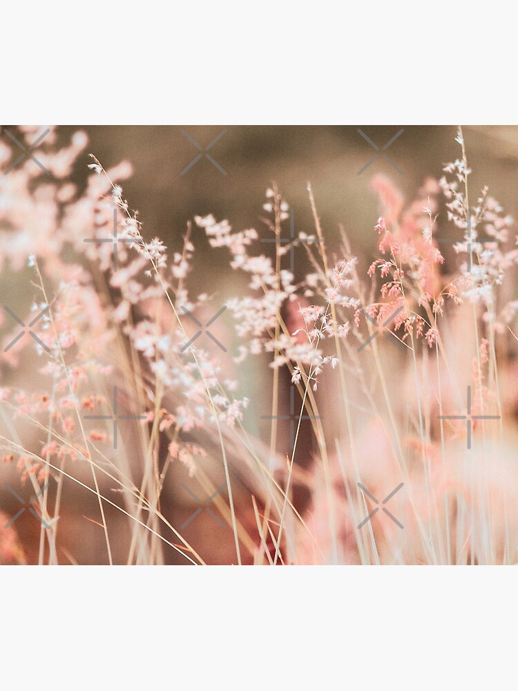Orange summer field by ColorsHappiness